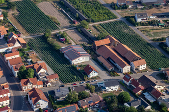 Asparagus Franz Ohmer in Rheinzabern in the state Rhineland-Palatinate, Germany