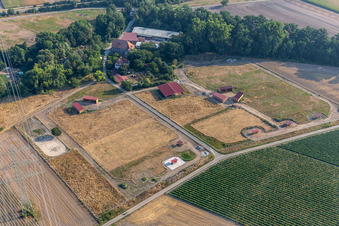 Aerial view of Wanzheimer Mühle horse farm in Rheinzabern in the state Rhineland-Palatinate, Germany