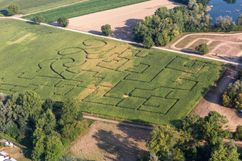 Corn maze in Leimersheim in the state Rhineland-Palatinate, Germany