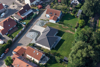 In the forest in Rheinzabern in the state Rhineland-Palatinate, Germany