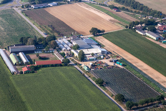 Zapf Farm Market in Hatzenbühl in the state Rhineland-Palatinate, Germany