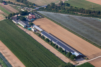 Hollerbühler Hof in Kandel in the state Rhineland-Palatinate, Germany