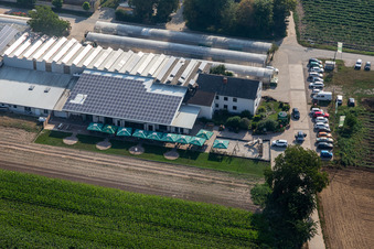 Drone recording of Zapf Farm Market in Kandel in the state Rhineland-Palatinate, Germany