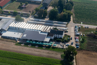 Drone image of Kandel in the state Rhineland-Palatinate, Germany