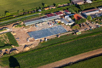 Kugelmann Biogemüse New production hall in Kandel in the state Rhineland-Palatinate, Germany viewn from the air