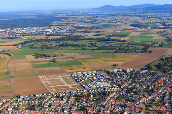 Oblique view of New development area "Mitten im Feld" and Odenwaldstr in Heddesheim in the state Baden-Wuerttemberg, Germany