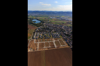 New development area "Mitten im Feld" and Odenwaldstr in Heddesheim in the state Baden-Wuerttemberg, Germany from a drone