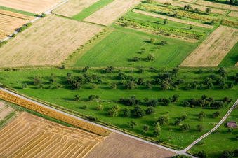 Aerial photograpy of Orchard meadows in the district Pfäffingen in Ammerbuch in the state Baden-Wuerttemberg, Germany