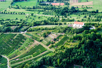 Churches building the chapel Wurmlinger Kapelle - St. Remigius Kapelle in the district Rottenburg am Neckar in Tuebingen in the state Baden-Wurttemberg from above