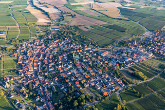 District Schweigen in Schweigen-Rechtenbach in the state Rhineland-Palatinate, Germany from above