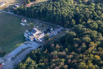 Restaurant Le Cleebourg in Rott in the state Bas-Rhin, France