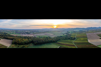 Panoramic perspective of forest in a valley sourround by fields in automn colours in Billigheim-Ingenheim in the state Rhineland-Palatinate, Germany