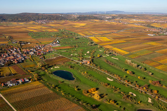 Aerial view of Grounds of the Golf course at Golfgarten Deutsche Weinstrasse - Dackenheim - GOLF absolute in Dackenheim in the state Rhineland-Palatinate, Germany