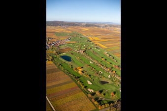 Aerial photograpy of Grounds of the Golf course at Golfgarten Deutsche Weinstrasse - Dackenheim - GOLF absolute in Dackenheim in the state Rhineland-Palatinate, Germany