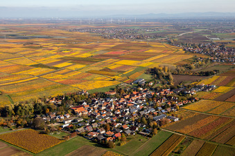 Aerial view of Autumnal discolored vegetation view agricultural land and field borders surround the settlement area of the village in Bissersheim in the state Rhineland-Palatinate, Germany