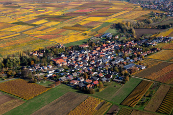 Aerial view of Bissersheim in the state Rhineland-Palatinate, Germany