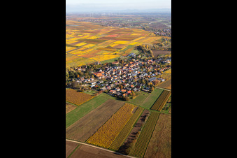 Aerial photograpy of Autumnal discolored vegetation view agricultural land and field borders surround the settlement area of the village in Bissersheim in the state Rhineland-Palatinate, Germany
