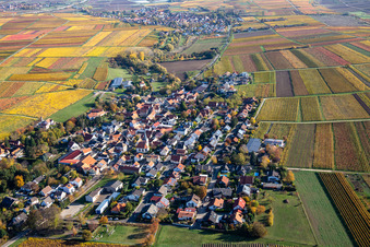Oblique view of Autumnal discolored vegetation view agricultural land and field borders surround the settlement area of the village in Bissersheim in the state Rhineland-Palatinate, Germany