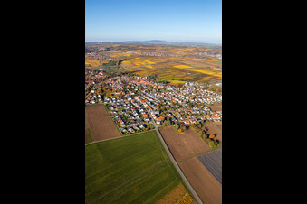 Aerial photograpy of Autumnal colored village view in the district Jerusalemsberg in Kirchheim an der Weinstraße in the state Rhineland-Palatinate, Germany