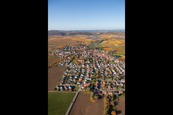 Oblique view of Autumnal colored village view in the district Jerusalemsberg in Kirchheim an der Weinstraße in the state Rhineland-Palatinate, Germany