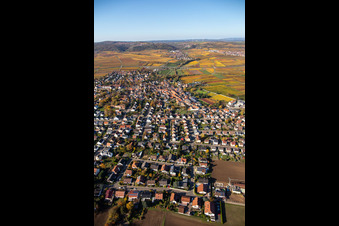 Autumnal colored village view in the district Jerusalemsberg in Kirchheim an der Weinstraße in the state Rhineland-Palatinate, Germany from above