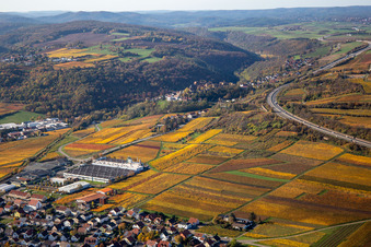 Aerial view of Autumnal discolored vineyards in the wine-growing area between Sausenheim and Neuleiningen in the state Rhineland-Palatinate, Germany