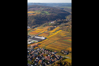 Aerial view of Neuleiningen in the state Rhineland-Palatinate, Germany