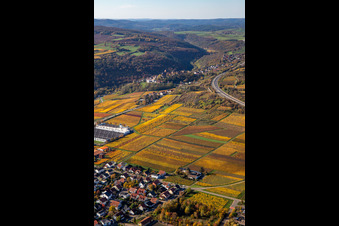 Aerial photograpy of Autumnal discolored vineyards in the wine-growing area between Sausenheim and Neuleiningen in the state Rhineland-Palatinate, Germany