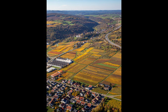Oblique view of Neuleiningen in the state Rhineland-Palatinate, Germany