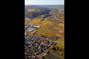 Oblique view of Autumnal discolored vineyards in the wine-growing area between Sausenheim and Neuleiningen in the state Rhineland-Palatinate, Germany