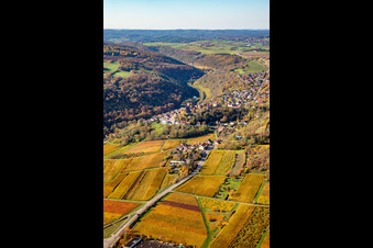 Aerial view of Autumnal discolored vegetation view town center on the edge of vineyards and wineries in the wine-growing area in Neuleiningen in the state Rhineland-Palatinate, Germany