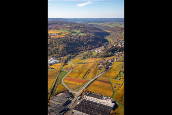 Neuleiningen in the state Rhineland-Palatinate, Germany from the plane