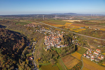 Autumnal discolored vegetation view town center on the edge of vineyards and wineries in the wine-growing area in Neuleiningen in the state Rhineland-Palatinate, Germany from above