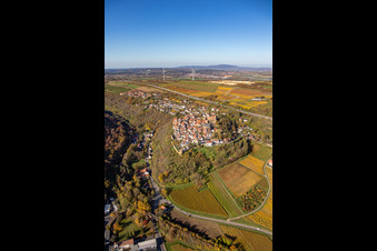 Autumnal discolored vegetation view town center on the edge of vineyards and wineries in the wine-growing area in Neuleiningen in the state Rhineland-Palatinate, Germany out of the air