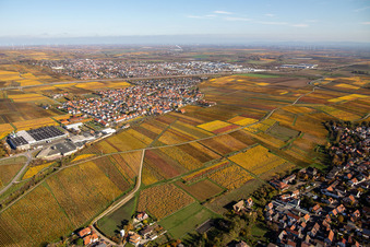 Village view in the district Sausenheim in Gruenstadt in the state Rhineland-Palatinate, Germany