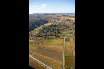 Autumnal discolored vegetation view fields of wine cultivation landscape in Battenberg (Pfalz) in the state Rhineland-Palatinate, Germany