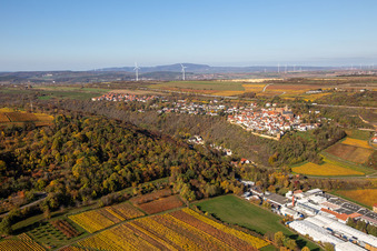 Aerial view of Autumnal discolored vineyards in the wine-growing area around the premises of Gechem GmbH & Co. KG in Neuleiningen in the state Rhineland-Palatinate, Germany