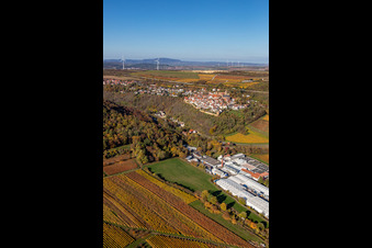 Aerial photograpy of Autumnal discolored vineyards in the wine-growing area around the premises of Gechem GmbH & Co. KG in Neuleiningen in the state Rhineland-Palatinate, Germany