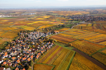 Aerial photograpy of Kleinkarlbach in the state Rhineland-Palatinate, Germany