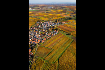 Kleinkarlbach in the state Rhineland-Palatinate, Germany from above