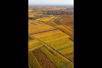 District Jerusalemsberg in Kirchheim an der Weinstraße in the state Rhineland-Palatinate, Germany out of the air