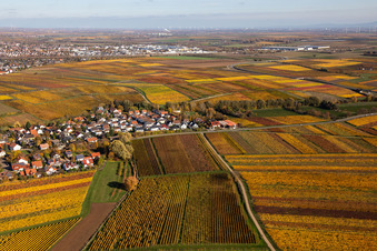 Kleinkarlbach in the state Rhineland-Palatinate, Germany out of the air