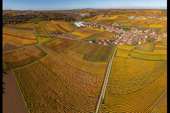 Kleinkarlbach in the state Rhineland-Palatinate, Germany from the plane