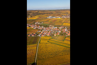 Bird's eye view of Kleinkarlbach in the state Rhineland-Palatinate, Germany