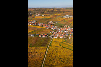 Kleinkarlbach in the state Rhineland-Palatinate, Germany viewn from the air