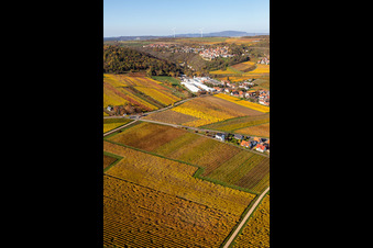 Drone image of Kleinkarlbach in the state Rhineland-Palatinate, Germany