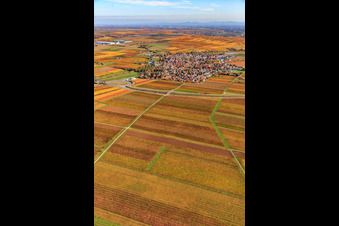 View of the village surrounded by vineyards from the south in the district Jerusalemsberg in Kirchheim an der Weinstraße in the state Rhineland-Palatinate, Germany