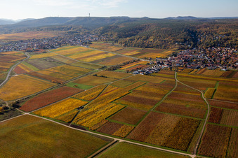 Autumnal discolored vegetation view of the rhine valley landscape surrounded by Palatinian mountains in Bobenheim am Berg in the state Rhineland-Palatinate, Germany