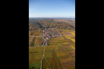 Autumnal discolored vegetation view of the rhine valley landscape surrounded by Palatinian mountains in Bobenheim am Berg in the state Rhineland-Palatinate, Germany
