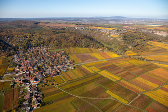 Aerial view of Bobenheim am Berg in the state Rhineland-Palatinate, Germany
